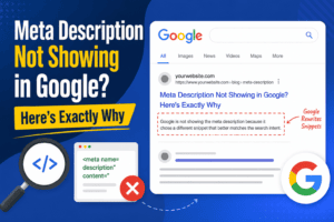 Read more about the article Meta Description Not Showing in Google? Here’s Exactly Why (and How to Fix It)
